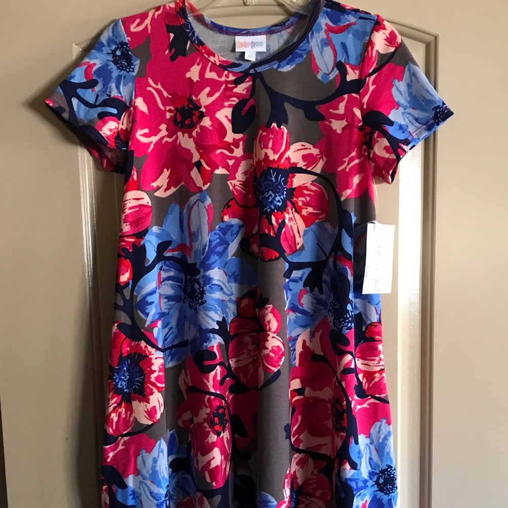 Lularoe Scarlett Dress 12 NWT